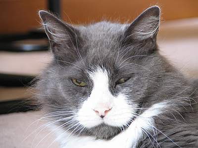 Carla 17 years old